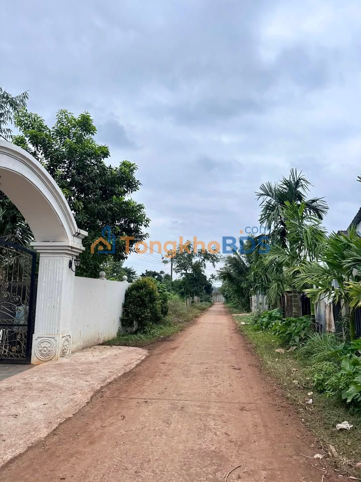 Đất Nền Krông Pắc 623m² Nở Hậu - Sổ TC Sẵn Sàng Giao Dịch