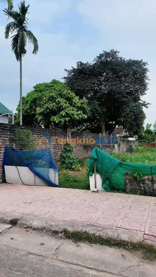 Đất Nền Phú Cát 140m² Full Thổ Cư - Sổ Đỏ Sẵn Sàng, Giá Đầu Tư