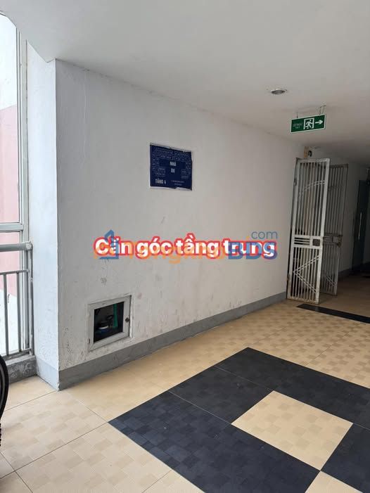 Chung cư Đặng Xá 48m² - 2.1 Tỷ - View Đường Lớn, Tầng Trung