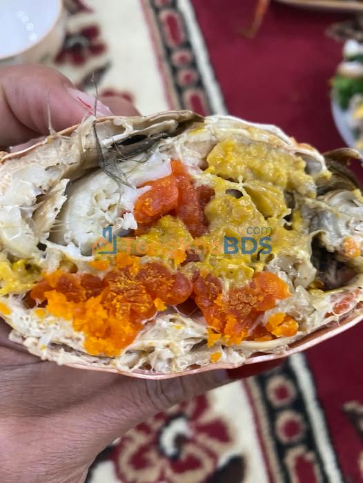 Đất đấu giá Đại Đức, Kim Thành 90m² - Mặt tiền 5m, giá 2 tỷ