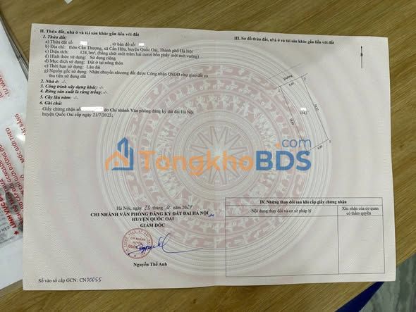 Đất nền Cấn Hữu, Quốc Oai 124m² - Lô góc 2 mặt thoáng, sẵn sổ hồng