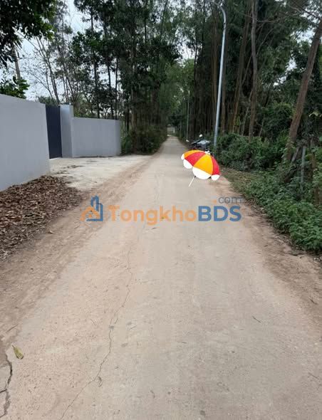 Đất Vàng Đồng Trạng, Sơn Tây 3065m² - View Hồ, Giá Đầu Tư