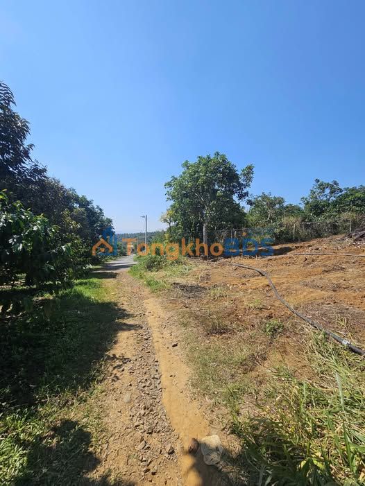 Đất Vàng Bảo Lâm 17280m² - Sổ Vuông Vắn, 120m Mặt Tiền Đường Oto