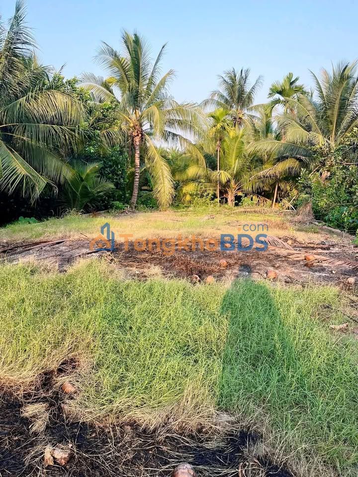 Đất nền Song Thuận 300m² giá 2.5 tỷ - Sổ đỏ chính chủ