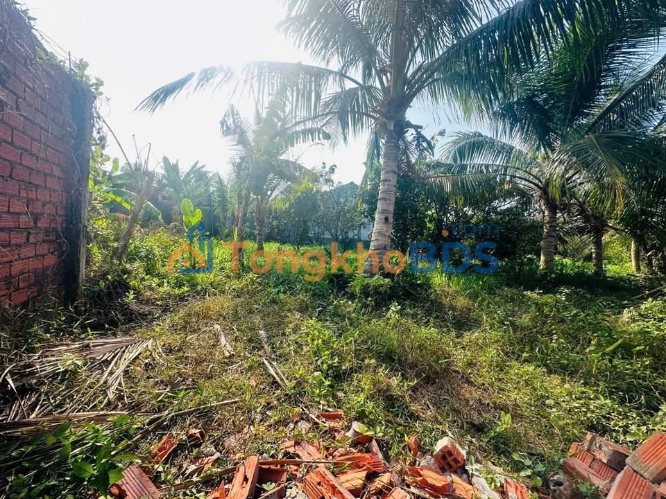 Đất nền Phường Phú Khương 151m² giá 550tr - Đường to ô tô