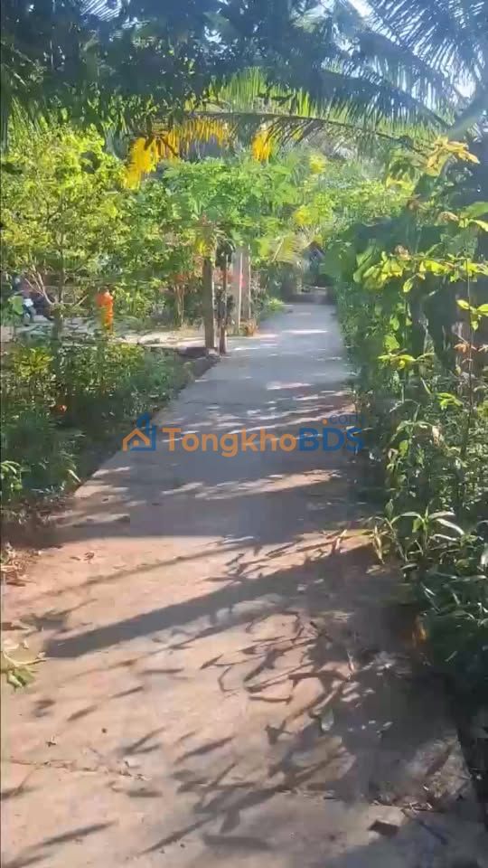 Đất Vườn Đồng Tháp 1000m² - Giá Đầu Tư 1.25 Tỷ - Sẵn Sàng Nghỉ Dưỡng