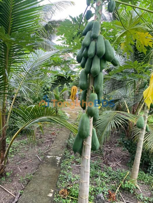 Đất nền 175m² view sông Bình Trưng, Châu Thành - Sổ hồng riêng, giá tốt