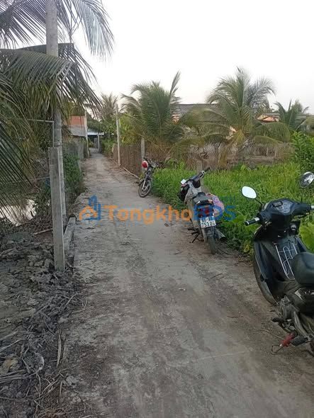 Đất Thổ Cư Vĩnh Long 320m² - Gần Chợ Tân Hòa, Sổ Hồng Sẵn Sàng