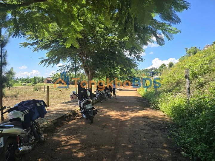 Đất Xã Tân Văn, Lâm Hà 1000m² - Giá Cắt Lỗ 1.149 Tỷ, Sổ Thổ Cư