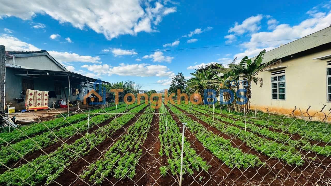 Đất An Phú An Khê 125m² 6 tỷ - Sổ đỏ chính chủ