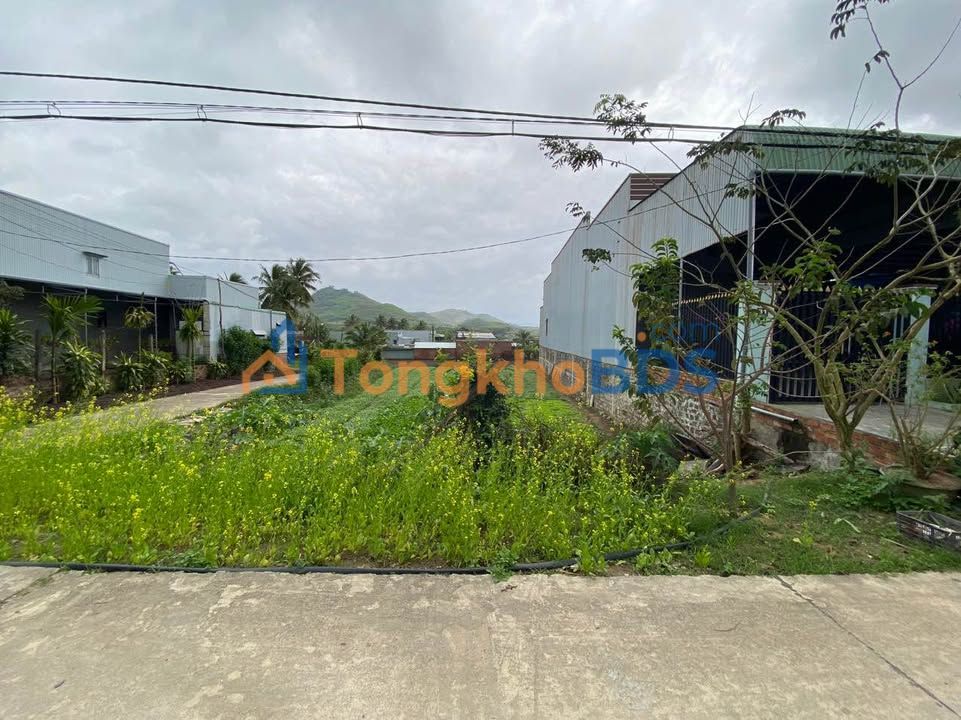 Đất nền Ngô Văn Sở An Khê 205m² - Sổ đỏ chính chủ