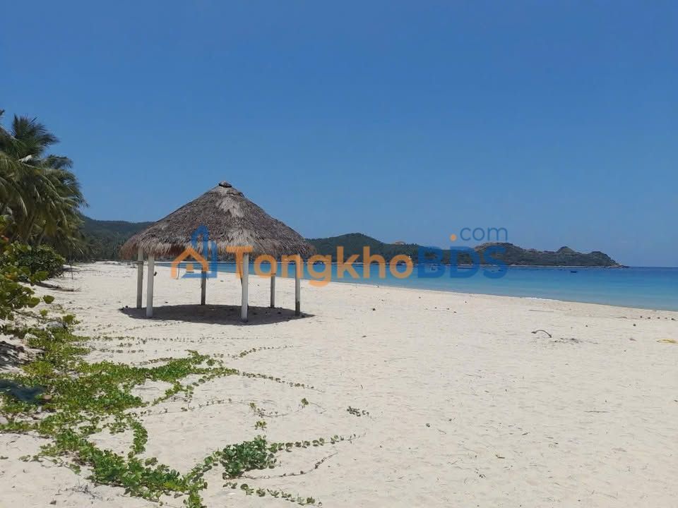 Đất Vườn Vịnh Hòa, Phú Yên 2402.6m² - Sổ Đỏ Thổ Cư, Gần Biển