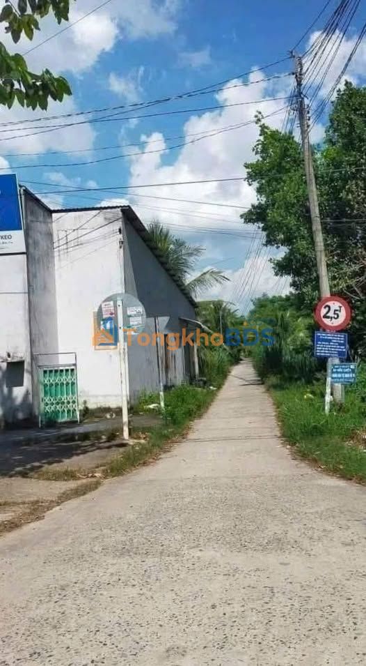 Đất Vườn Bến Tre 2197m² Giá 900 Triệu - Trồng Dừa Xanh Mát