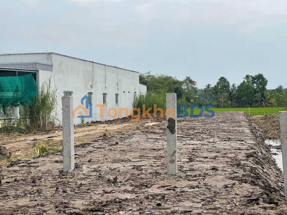 Đất nền Tân Thạnh Thới Lai 428m²/1,25 tỷ - Đường ô tô