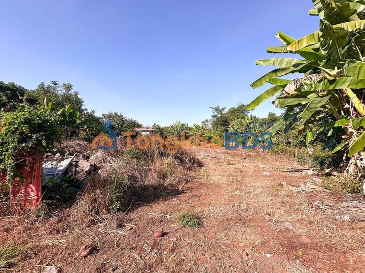 Bán Nền Đất 150m² Mặt Tiền Phan Huy Chú, Long Khánh - Sẵn Sổ Hồng