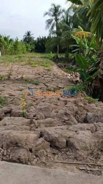 Đất nền Nhơn Mỹ 924m² thỏa thuận - Sổ riêng chính chủ