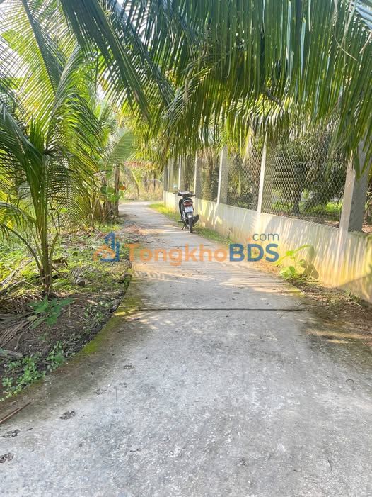 Đất Nền Mặt Tiền Đường Xe Hoa Lâm, Châu Thành - 500 Triệu