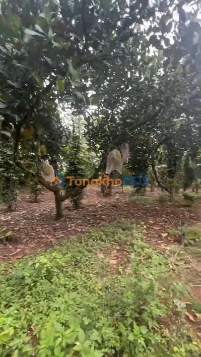 Đất nền Bảo Quang Long Khánh 500m² 730 triệu - Đường ô tô tránh