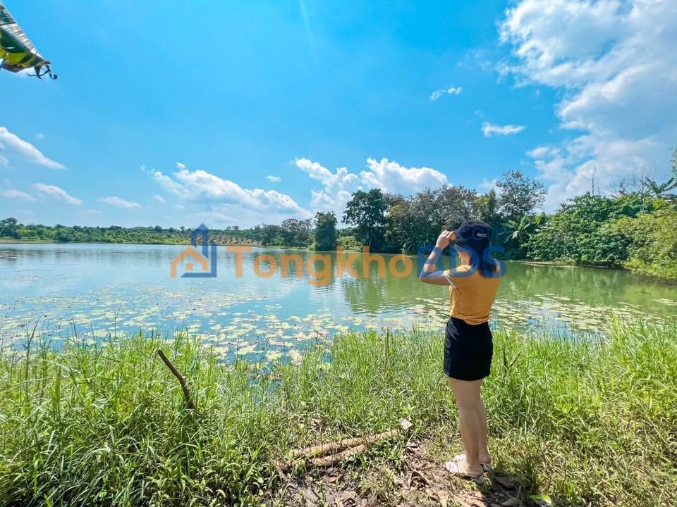 Đất nền Bình Tân Buôn Hồ 342m² 560 triệu - Đường to ô tô