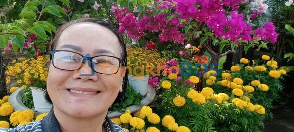 Nhà Gò Vấp 36m² Căn Góc 2.85 Tỷ - 4PN Full Nội Thất