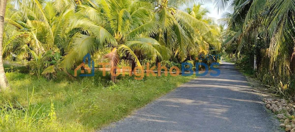 Bán Đất Mặt Tiền Đường Cơ Khí, Bến Tre - 300m², Sổ Hồng Sẵn Sàng