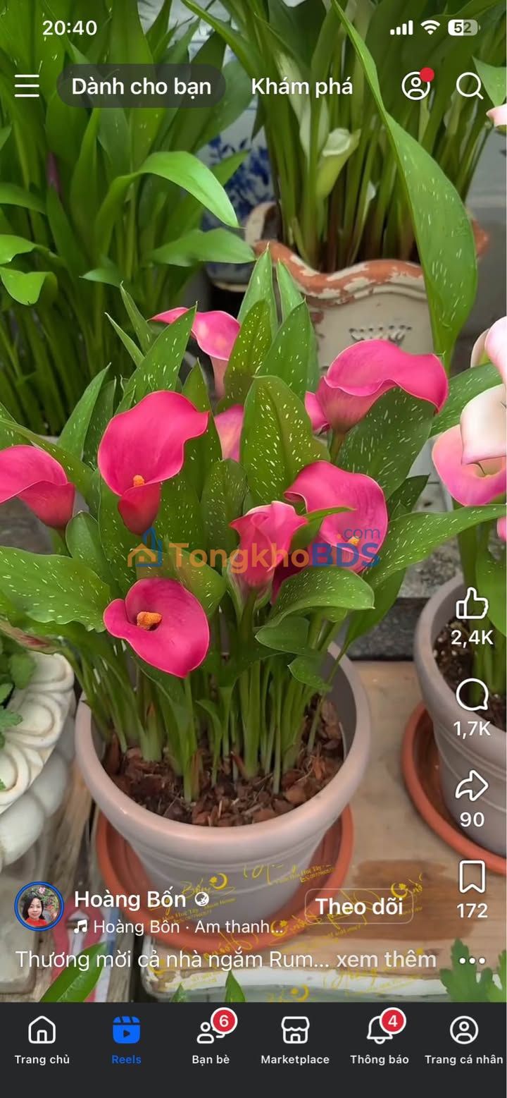 Nhà trọ Quận 12 - 96m² - Kinh doanh 10tr/tháng - Giá 6 tỷ