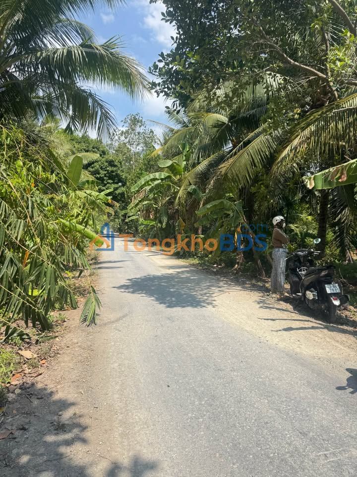 Đất Vườn Xuân Đông Chợ Gạo - 321m² View Kênh Mát Mẻ - Giá 720 Triệu