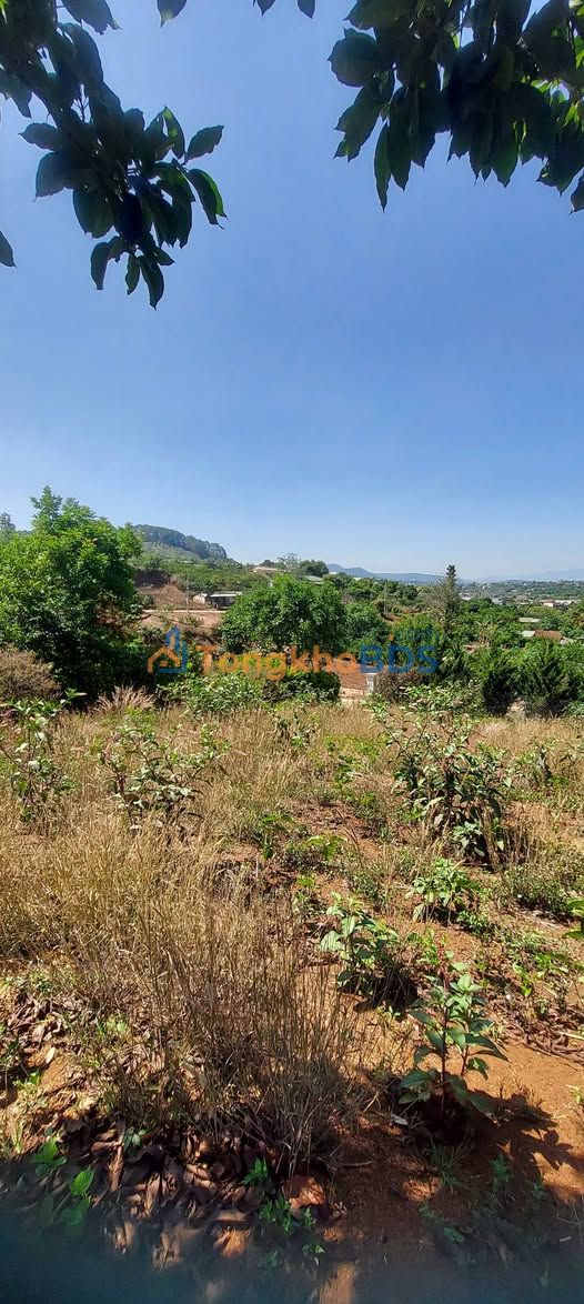 Đất nền Nam Ban 511m² 1.35 tỷ - Sổ đỏ chính chủ