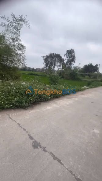 Đất Vườn Hà Nam - 83m² Giá 300 Triệu Gần Chợ Động