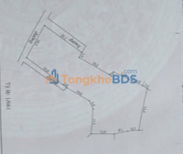 Đất vườn Phượng Sơn Chũ 1.600m² >1 tỷ - Sổ đỏ chính chủ