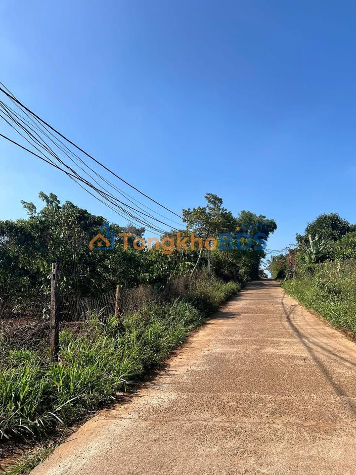 Đất nền Bình Thuận Buôn Hồ 340m² 720tr - Sổ đỏ chính chủ