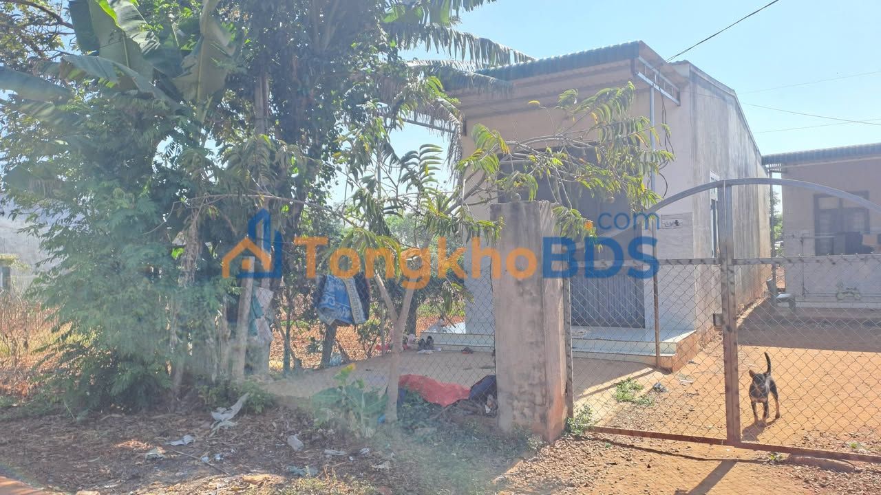 Bán Đất Tơng Sinh M'Đrắk Đắk Lắk 60m² Giá 900 Triệu - Sổ Đỏ Rõ Ràng