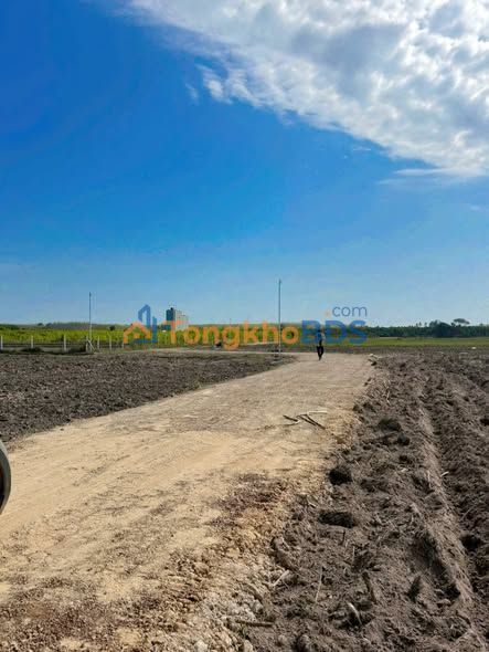 Đất Vàng 1000m² Tân Biên, Tây Ninh - Sổ Sẵn, Giá Tốt Trước Tết!