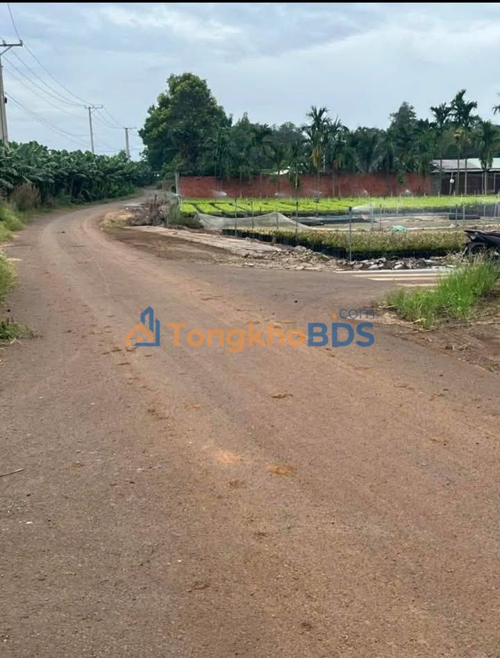 Đất nền 1065m² sổ hồng, lên thổ cư được - Gần Phố Mới, Hưng Thịnh, Long Thành