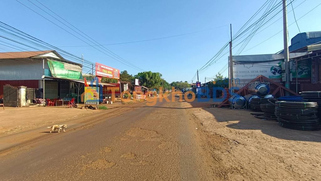 Bán Đất Mặt Tiền Phan Đình Phùng, Đak Đoa, Gia Lai - 340m² Thổ Cư