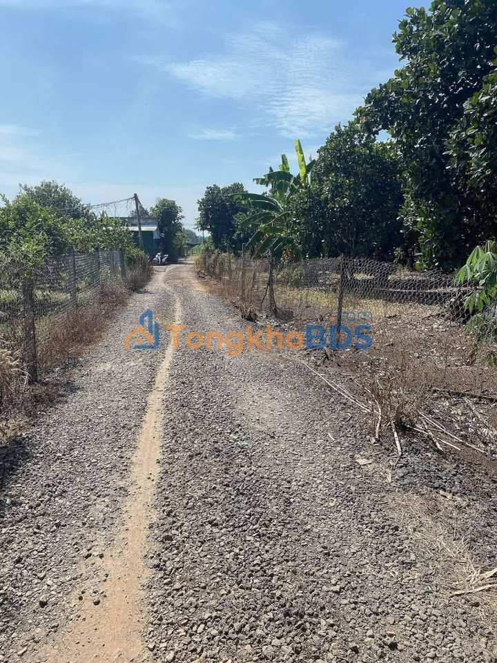 Đất nền Suối Cao Tân Phú 360m² giá thỏa thuận - Sổ đỏ chính chủ