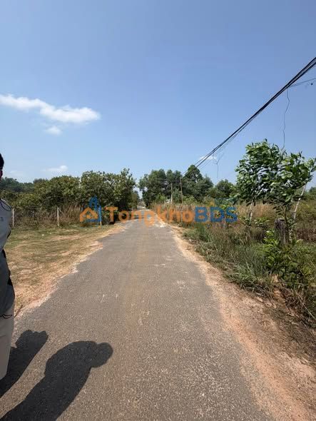 Bán Đất Nền Thạnh Tây, Tân Biên, Tây Ninh - 500m², Hướng Nam, Giá 2.5 Tỷ