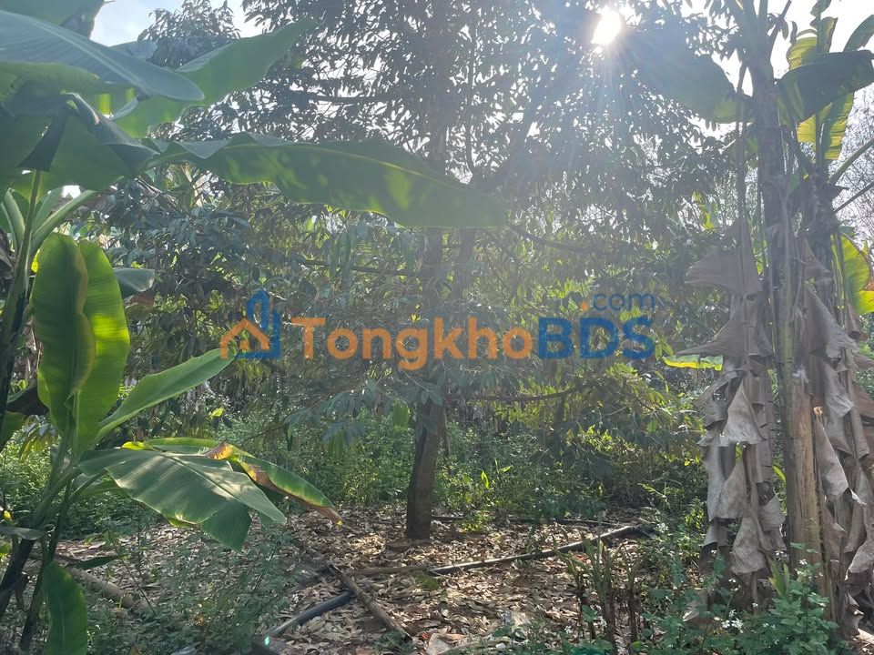 Đất vườn Bửu Hòa Biên Hòa 2.268m² 5,04 tỷ - Sinh thái xanh