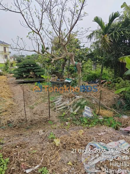 Đất nền Hải Ninh Nam Định 147m² 2.1 tỷ - Sổ đỏ chính chủ