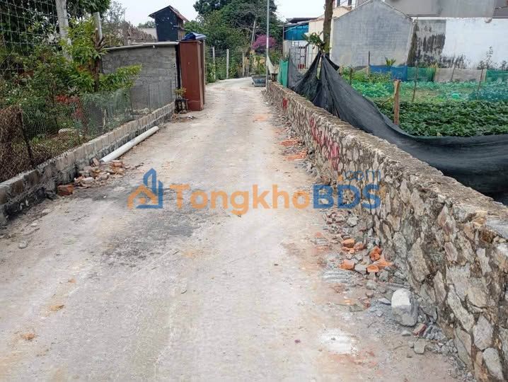 Đất Nền 102m² Phùng Dị, Quế Võ, Bắc Ninh - Ô tô vào tận nơi, gần KCN