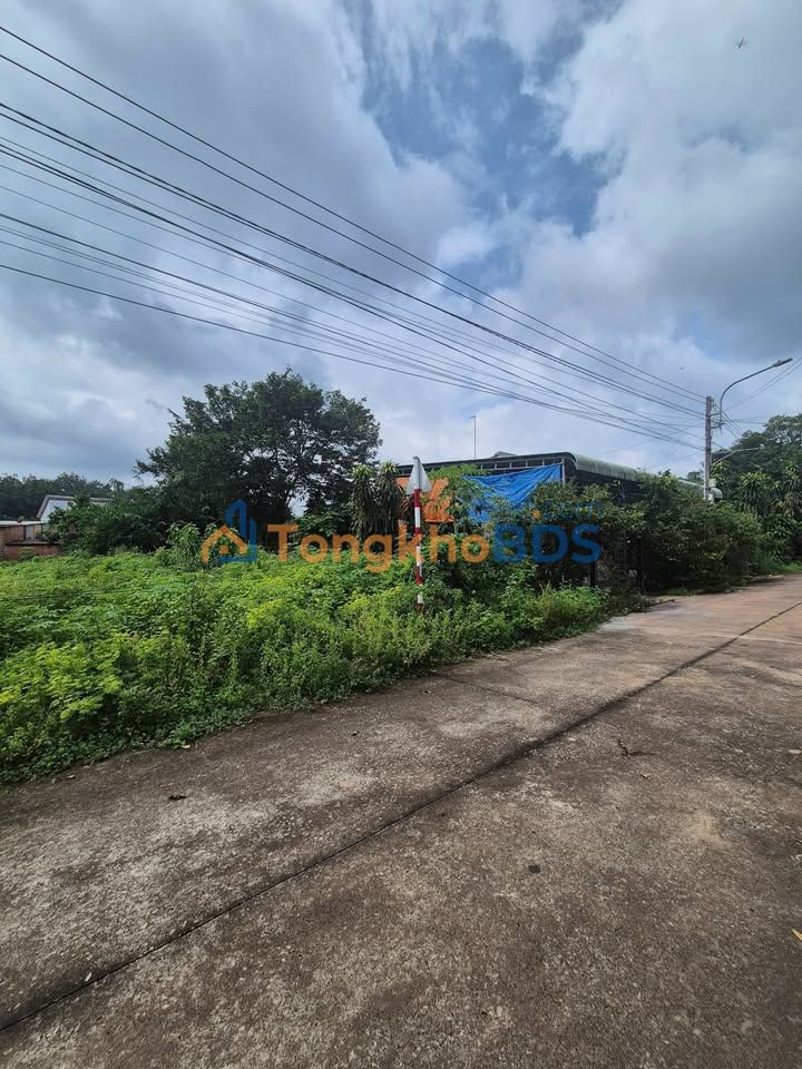 Đất nền Tân Hiệp, Phú Giáo 420m² 900 triệu - Đường to ô tô