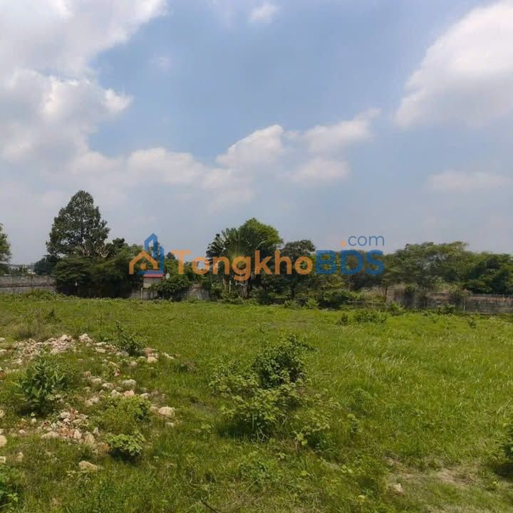 Cho thuê đất Dĩ An Bình Dương 23.000m² - Đường xe công 24h