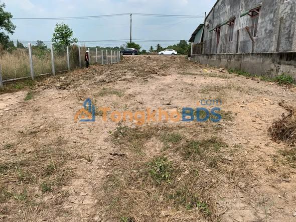 Đất Thổ Cư 592.7m² Bến Cầu, Tây Ninh - Sẵn Sàng Xây Nhà Vườn/Đầu Tư