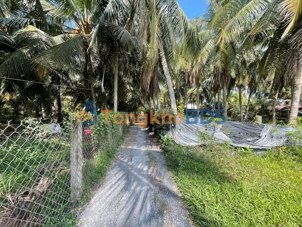 Đất Nền Gò Công Tây 174m² - Sổ Đỏ Thổ Cư, Giá Đầu Tư 290 Triệu