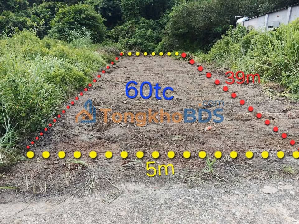 Đất Vàng Bến Cát - 195m² Mặt Tiền Nhựa, Giá 1.05 Tỷ, Gần Trung Tâm Chánh Phú Hòa