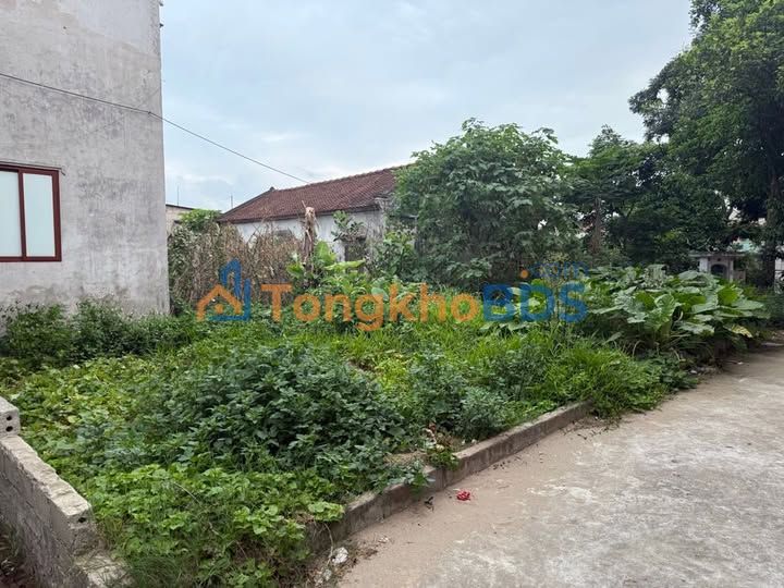 Đất Lô Góc Vin Olympic Gia Lâm 40m² - Sổ Đỏ Vuông Đẹp, Giá 2.6 Tỷ