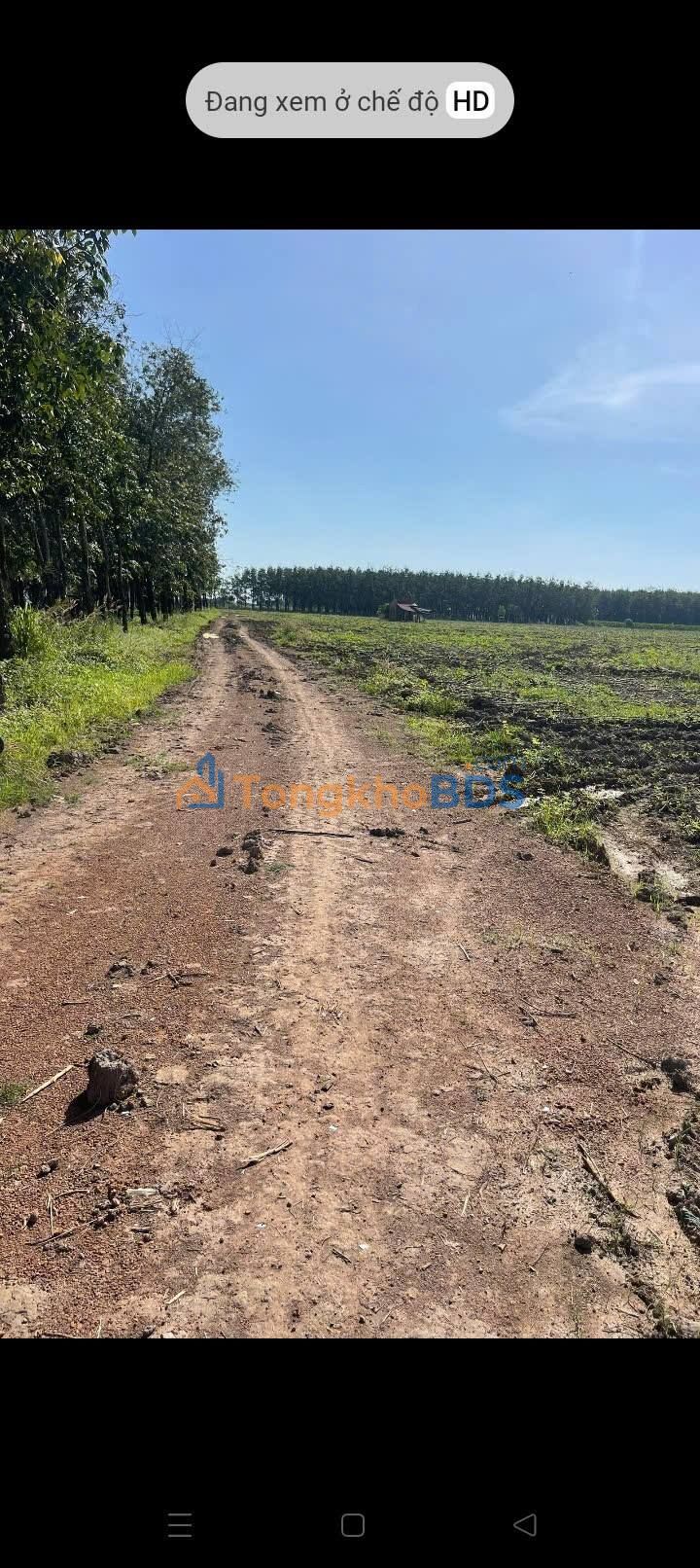 Đất nền Dương Minh Châu 70.000m² 11.9 tỷ - Đường to ô tô