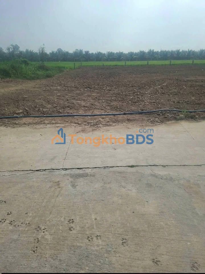 Bán đất nền 410m² Tân Trung, Gò Công - Sổ đỏ sẵn sàng, giá chỉ 360 triệu