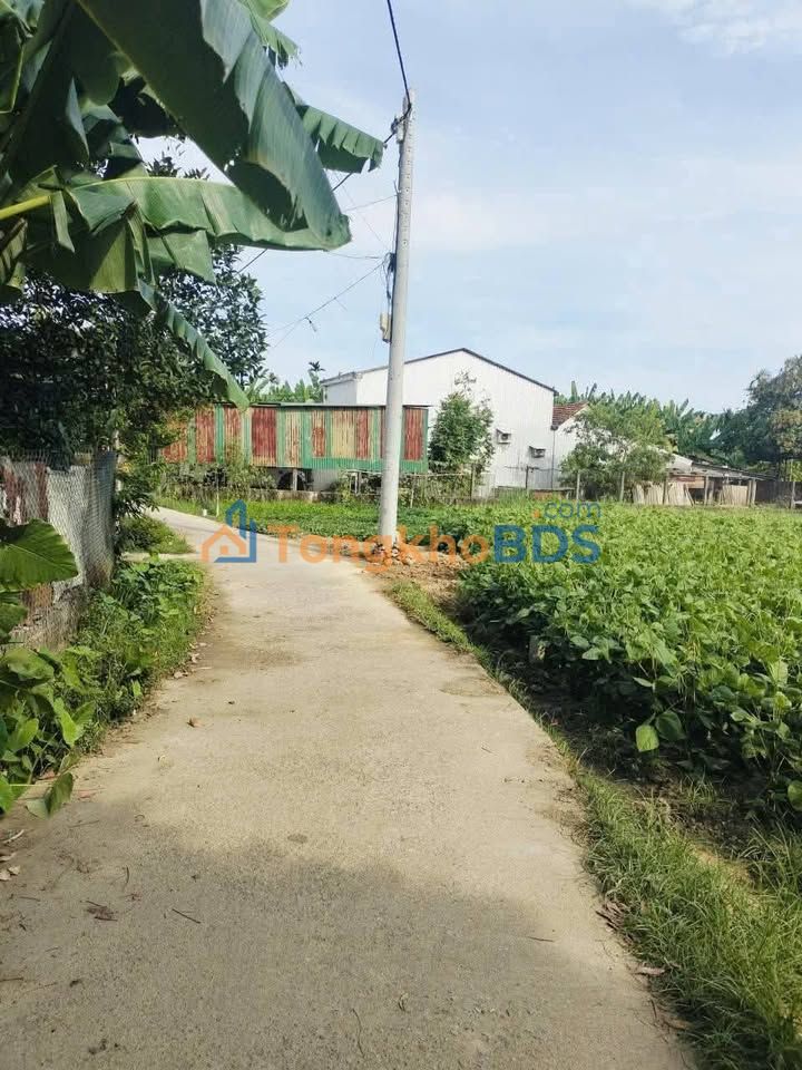 Đất Nền An Hà 3, Tư Nghĩa 114m² - Hướng Bắc Mát Mẻ, Giá Tốt