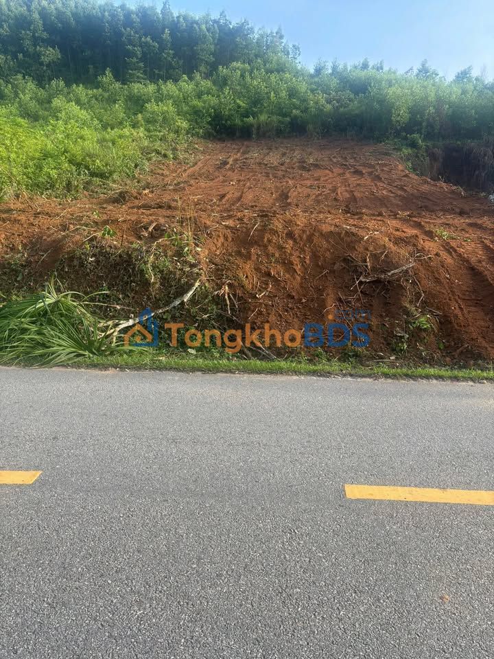 Đất Vàng 3600m² Chính Chủ, Sổ Riêng - Gần TL624, Tư Nghĩa